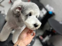 -宠物家(角门东店)
