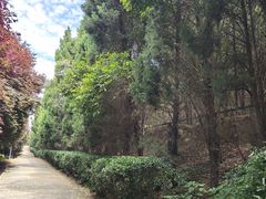 -秦始皇帝陵博物院-丽山园