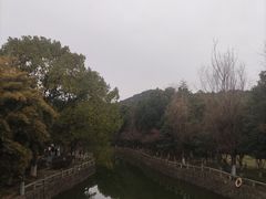 -旺山景区