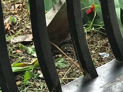 -文昌阁-老东门遗址