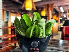 -口袋鸭砂煲火锅(解放路店)