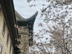 -武汉大学-樱园