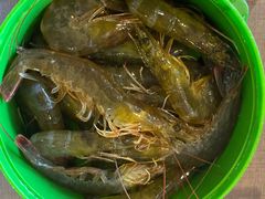 -金巴兰海鲜王
