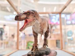 -上海七宝领展广场