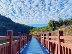 -黄埔油麻山森林公园