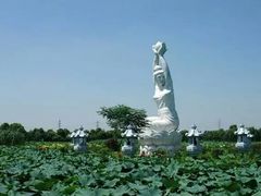 -荷塘月色湿地公园·向阳花洲