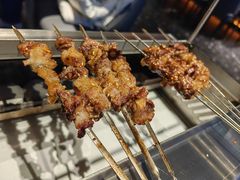 -鼎原力量东北吊炉烧烤(临河街店)