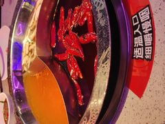 -大龙燚·旷野鲜火锅(广州首店)