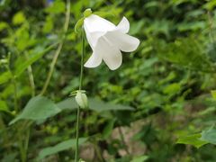 -崂山九水游览区