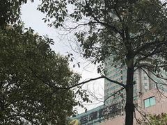 -湖南广电中心大楼