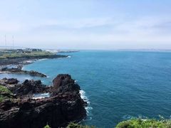 -涉地可支