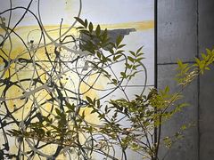 -HOME餐厅粤菜 融合菜