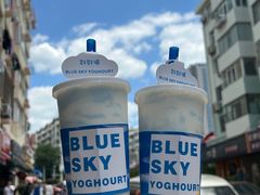 -白色日记·手作酸奶(麦凯乐店)