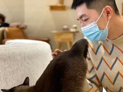 -藏猫猫咖啡主题馆(中央大道店)