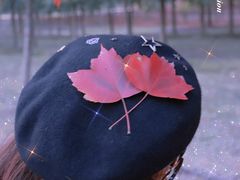 -游子山休闲旅游区