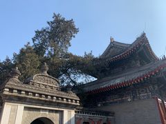 -北京艺术博物馆(万寿寺)