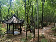 -虞山风景区