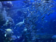 -多彩贵州城极地海洋世界