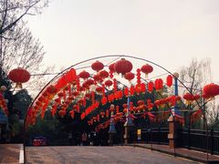 -成都欢乐谷