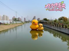 -菊园百果园