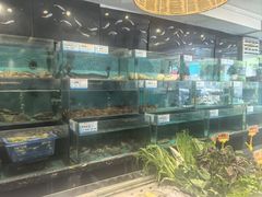 -潮粤香海鲜酒楼(沙湖店)