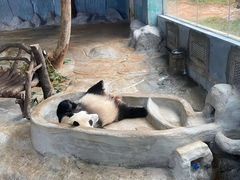 -海南热带野生动植物园