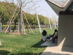 -云锦路(地铁站)
