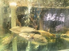 -1718海鲜姿造(苏宁宴请臻选店)