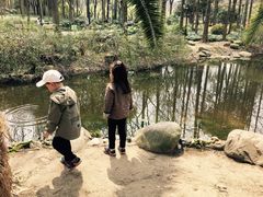 -苏州河梦清园环保主题公园