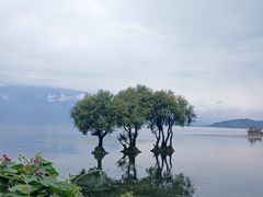 -大理洱海