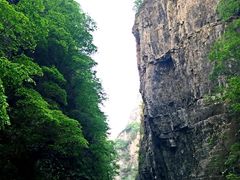 -白草畔自然风景区