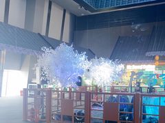 -上海环球金融中心骑迹50年环球之旅