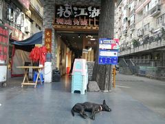 门面-王婆乔鲜鱼自助火锅(蜀汉路店)