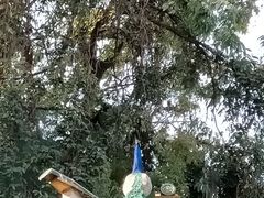-昆明动物园
