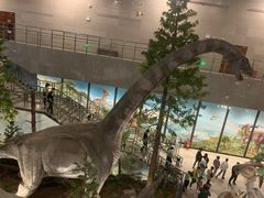 -湖南省地质博物馆