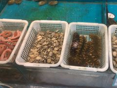 -中苑海韵
