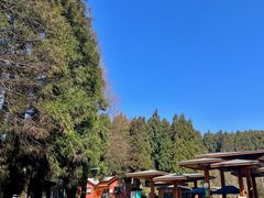 -山王坪喀斯特国家生态公园