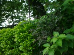 android_upload_pic-秀全公园游泳馆(花都店)