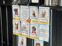 -Tequila Espresso(嘉善路店)