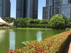 -陆家嘴中心绿地
