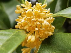 -一江春水·杭帮臻宴(三台山店)