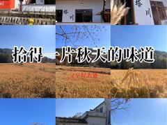 -塔川景区