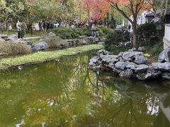 -秋霞圃