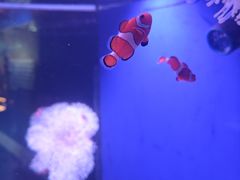 -蓬莱欧乐堡海洋极地世界