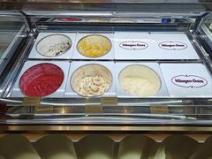 -哈根达斯(华星店)