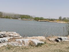 -东郊湿地公园