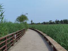-绿堤公园