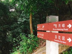 -广州市帽峰山景区