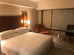 -东京希尔顿酒店