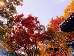 -八大处公园